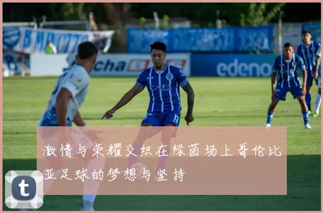 激情与荣耀交织在绿茵场上哥伦比亚足球的梦想与坚持