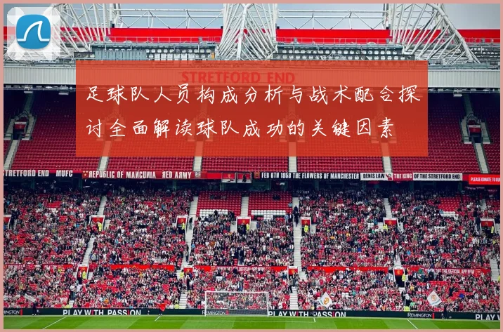足球队人员构成分析与战术配合探讨全面解读球队成功的关键因素