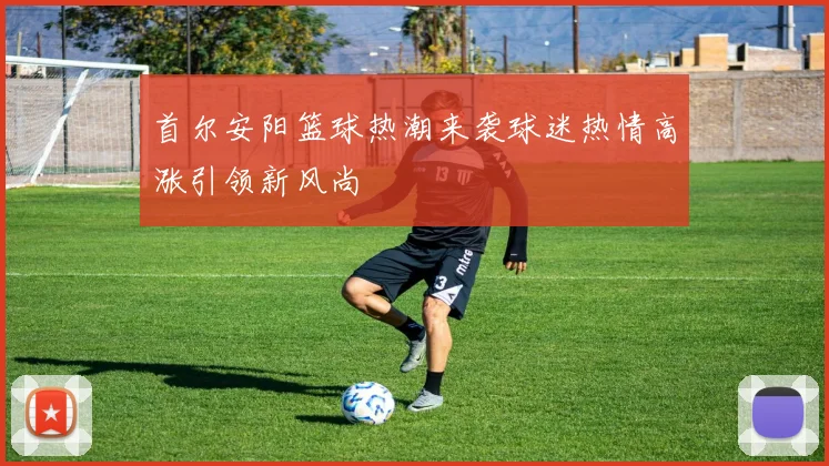 首尔安阳篮球热潮来袭球迷热情高涨引领新风尚