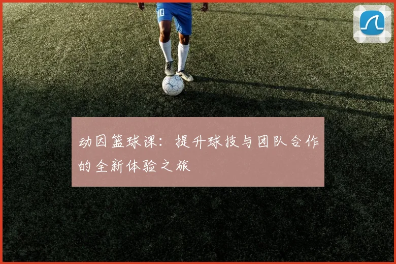 动因篮球课：提升球技与团队合作的全新体验之旅